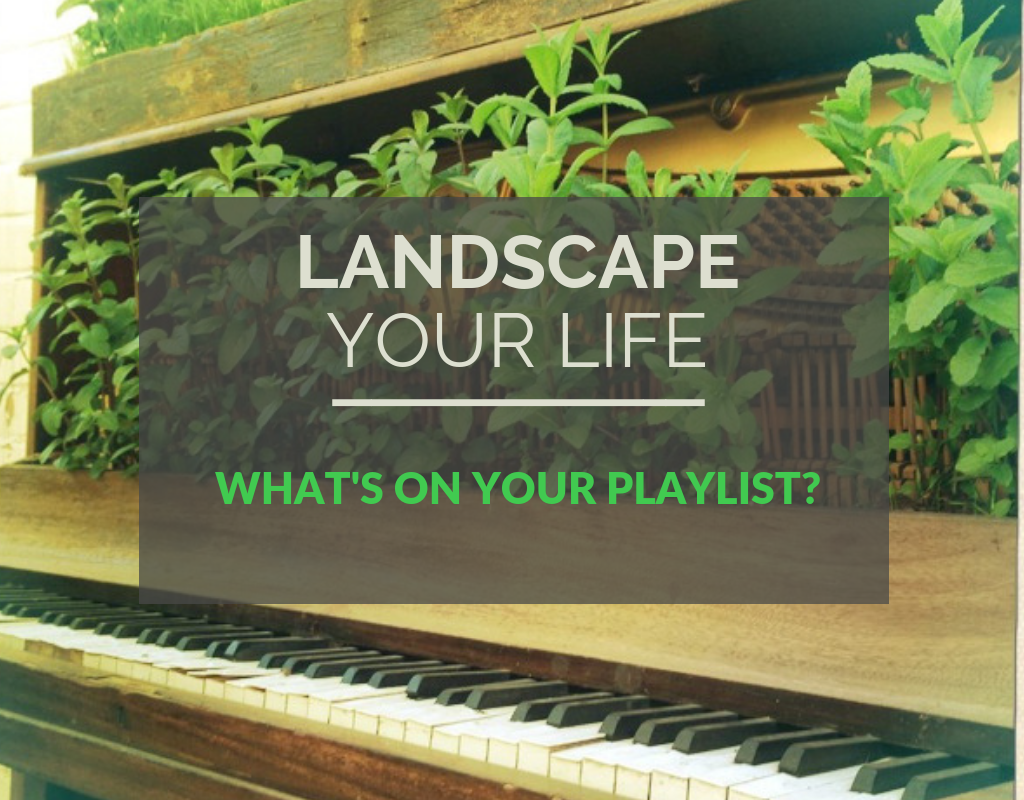 music-to-enhance-your-mood-landscapeyourlife